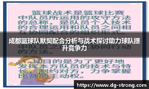 成都篮球队默契配合分析与战术探讨助力球队提升竞争力